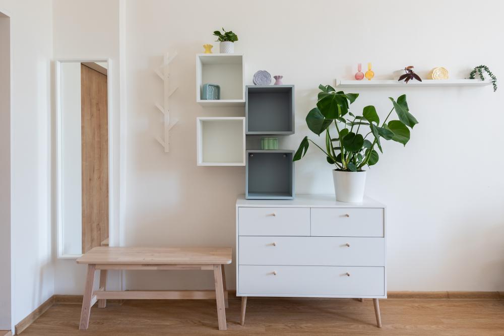 Monstera Apartment