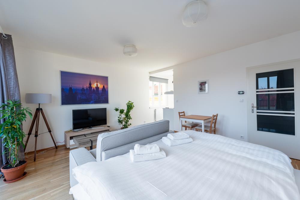Sunny apartment Safron