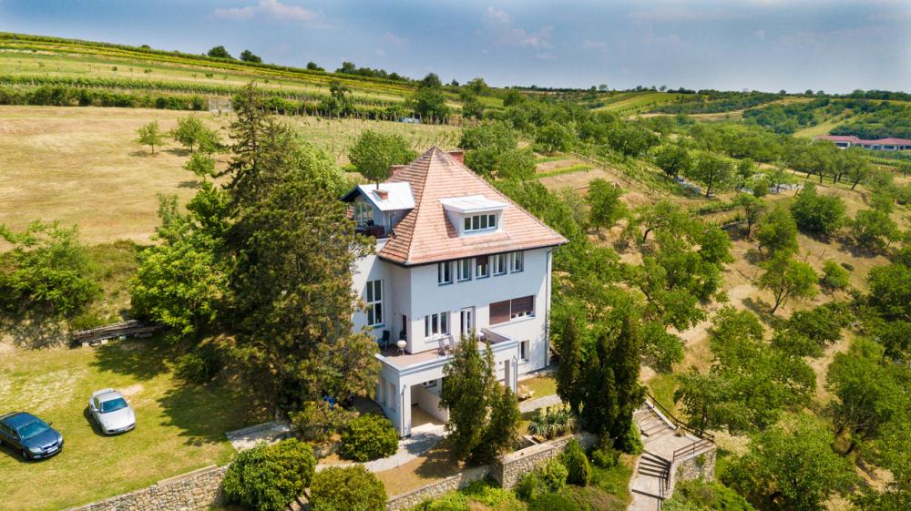 Nosislav Antique Apartment